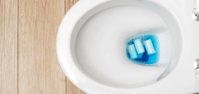 Never Flush Sanitary Items down the toilet